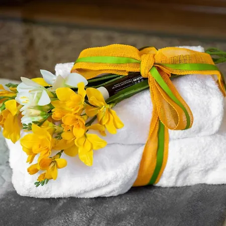 Ca'baldin Venezia-marghera Lägenhet *