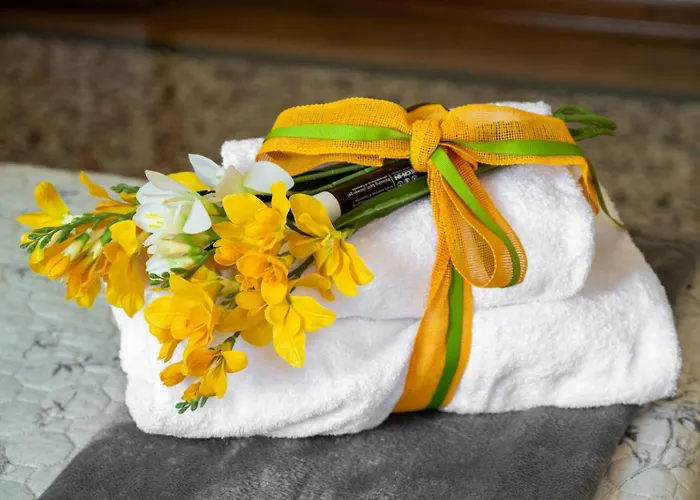 Ca'baldin Venezia-marghera Lejlighed *